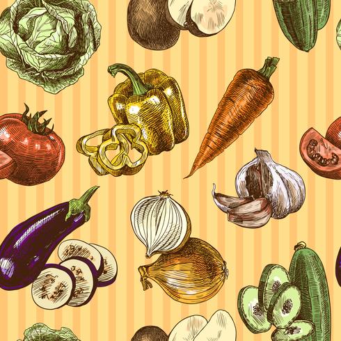 Vegetables sketch color seamless pattern vector