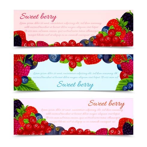 Berries banners set horizontal vector