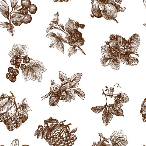 Sketch berries seamless pattern vector