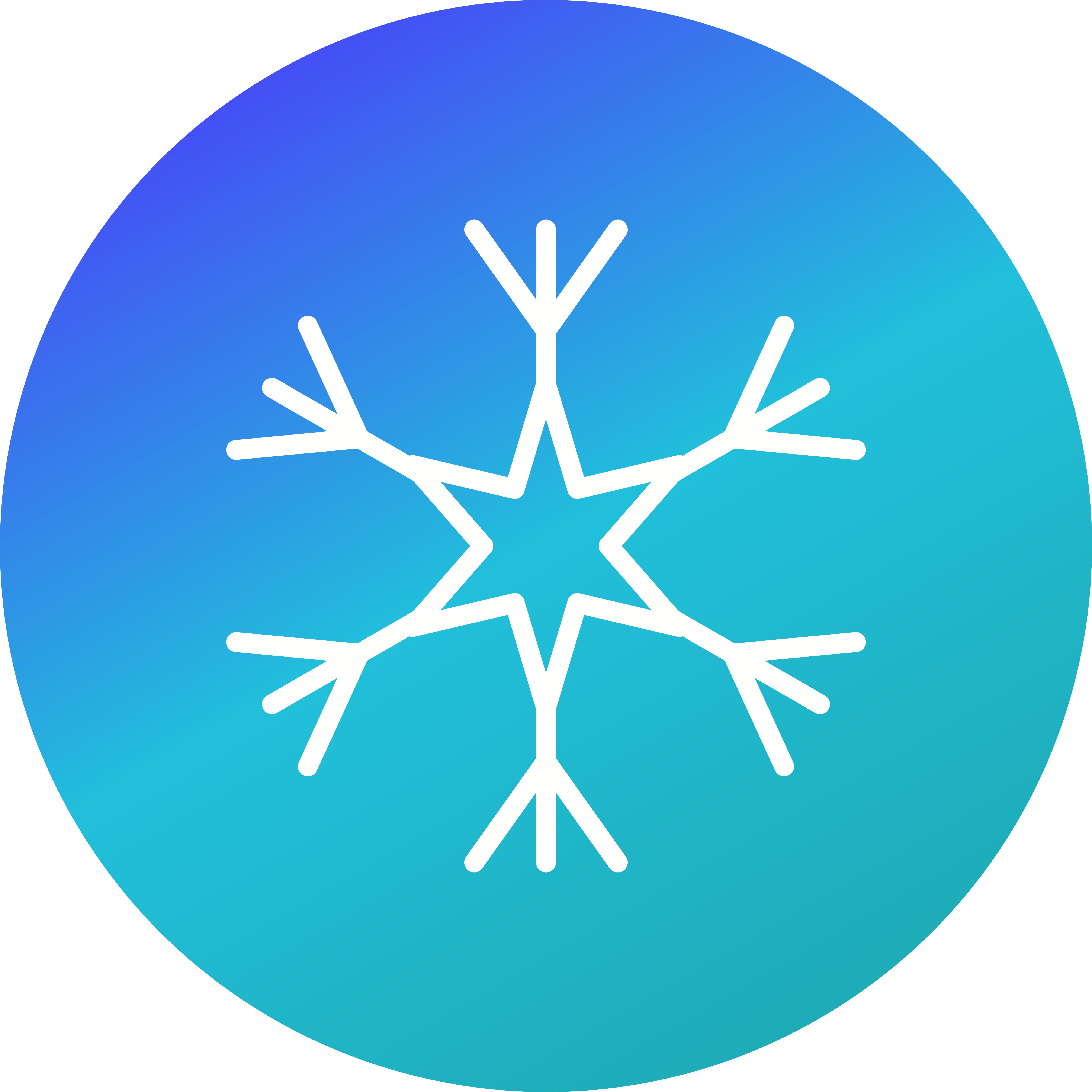 Free Free 220 Snow Icon Svg SVG PNG EPS DXF File
