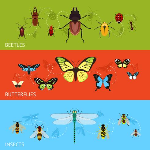 Insects banner set vector