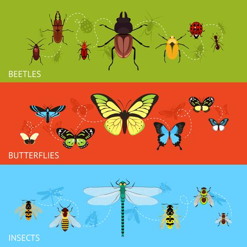 Conjunto de banners de insectos vector