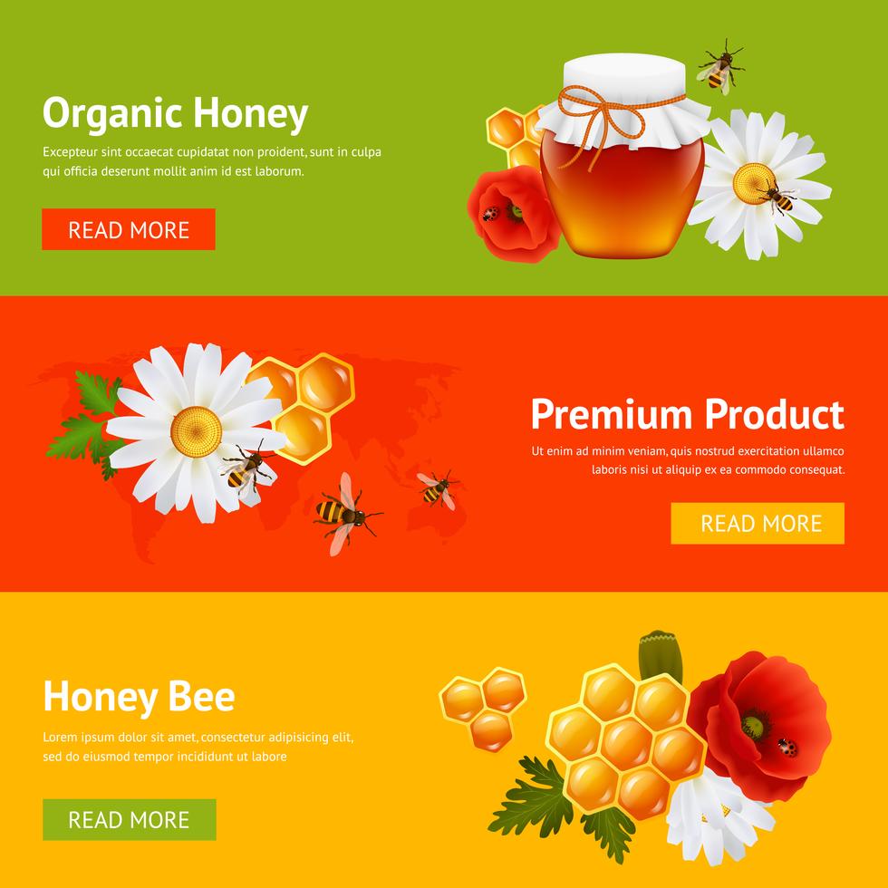 Honey banner set vector