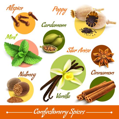 Herbs and spices set vector