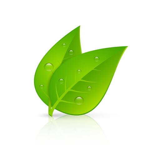 Green leaves realistic image print vector