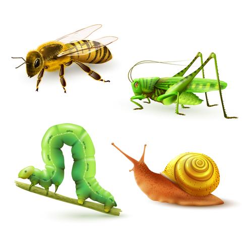 Conjunto realista de insectos. vector