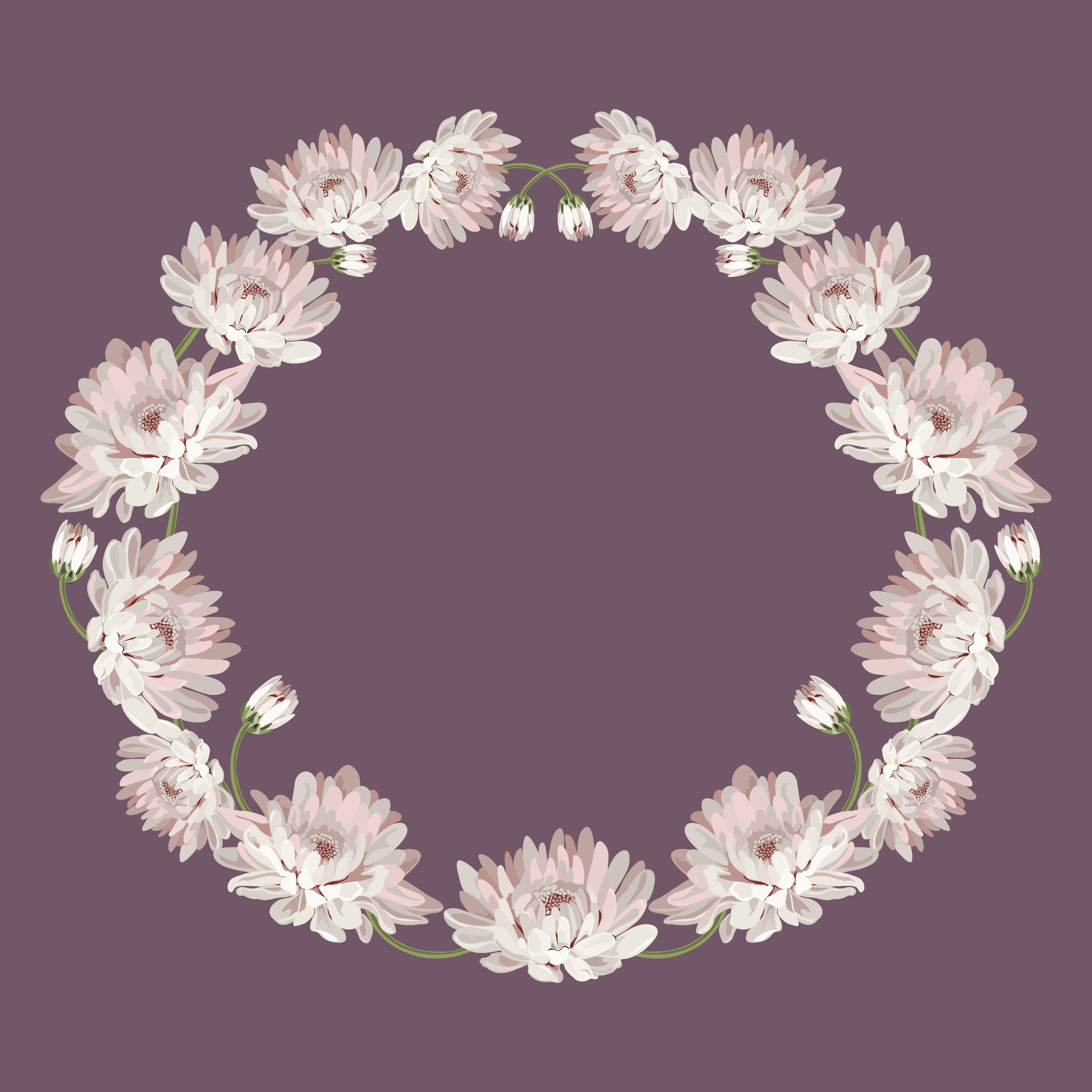 Chrysanthemums. Decorative circle frame with flowers for your design