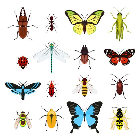 Conjunto de iconos de insectos vector