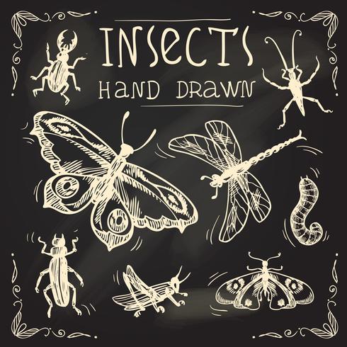 Insects sketch set vector
