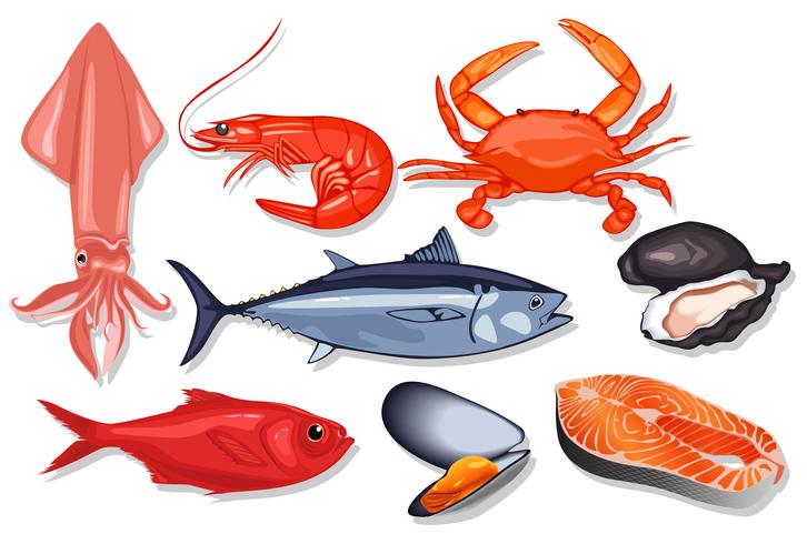 Diferentes tipos de pescados y mariscos frescos. vector