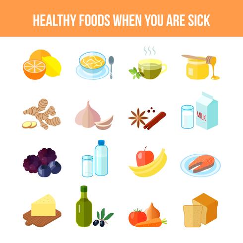 Healthy Food Icon Flat vector