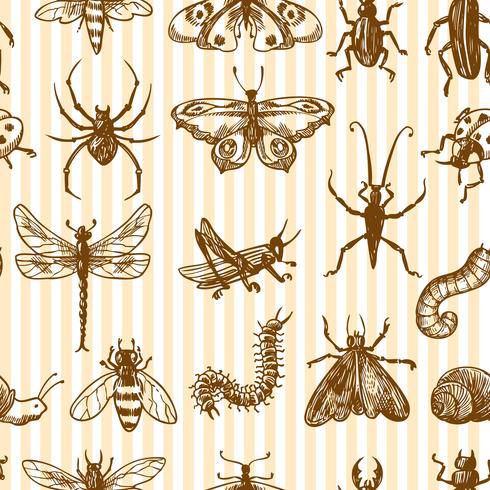 Insectos dibujo monocromo de patrones sin fisuras vector