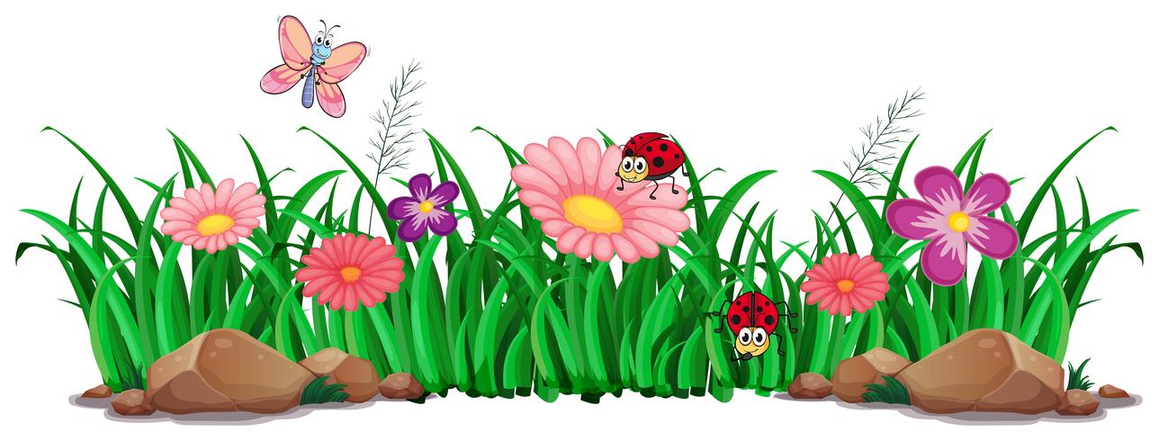 Flower and grass for decor vector