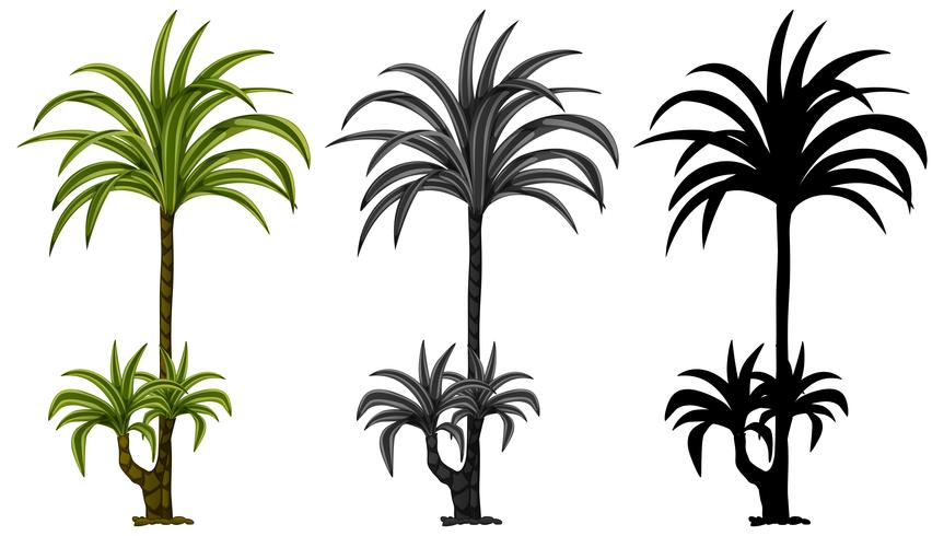 Conjunto de diseño de plantas vector