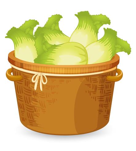 A basket of lettuce vector