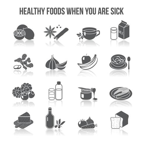 Healthy Food Icons vector