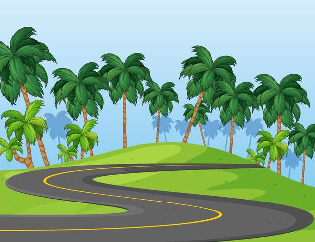 Curve road in the park vector