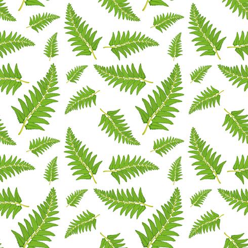 Fern leaf seamless pattern vector