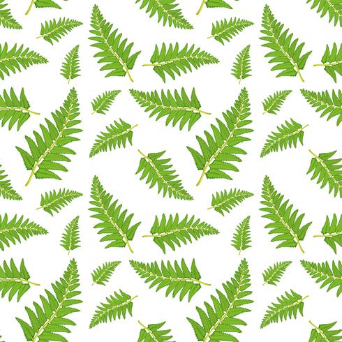 Fern leaf seamless pattern vector