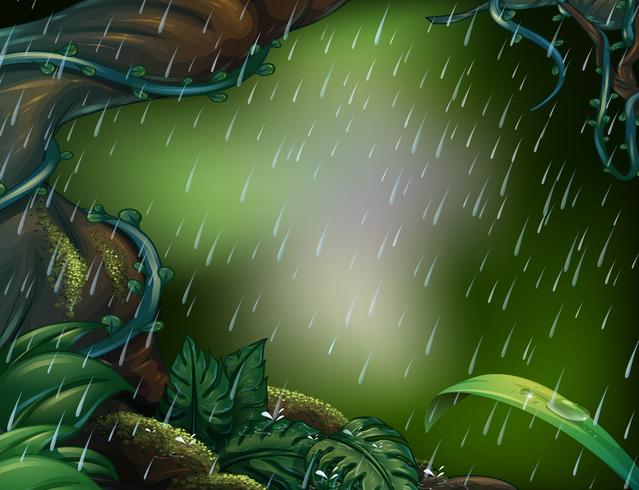 Escena de lluvia en el bosque profundo vector