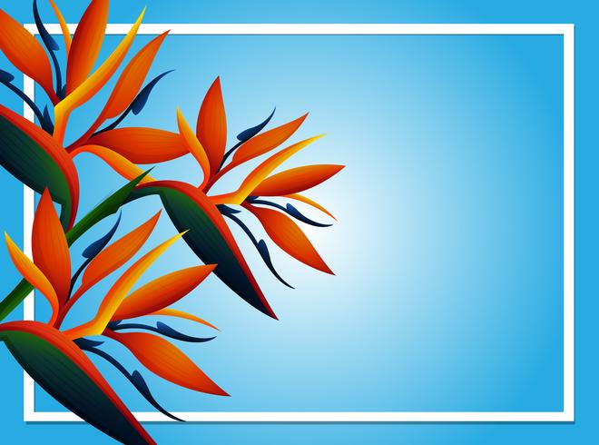 Plantilla de fondo azul con flor de birdofparadise vector