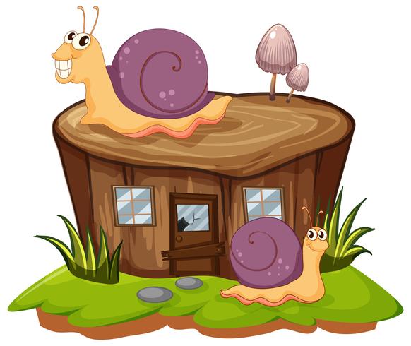 Two snails crawling on the stump tree vector