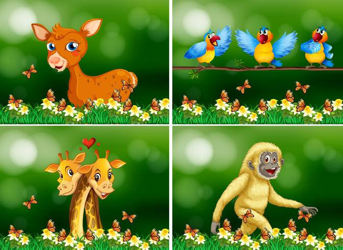 Wild animals in the forest vector