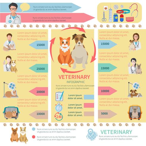 Infografia veterinaria vector