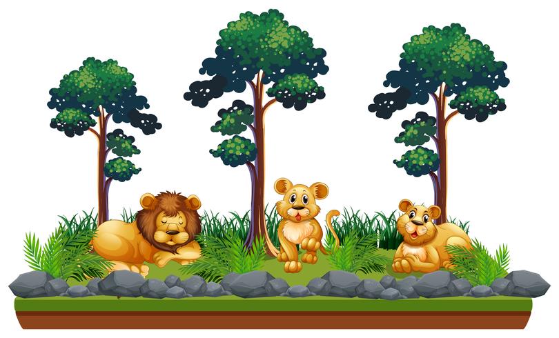 Isolated lion in nature landcape vector