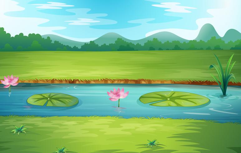 Beautiful nature river landscape vector