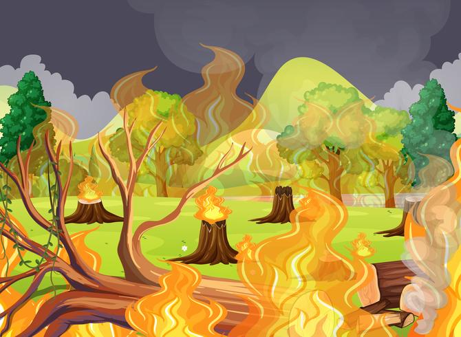 A scary forest fires  vector