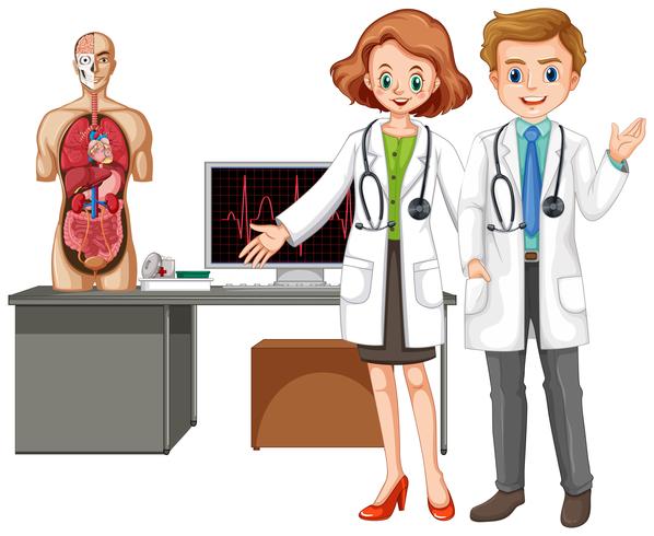 Médicos con anatomía humana sobre fondo blanco vector