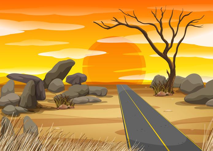 Empty road in desert at sunset vector