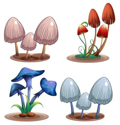 A Set of Poisonous Mushroom vector