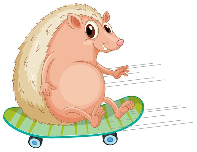 A hedgehog playing skateboard vector