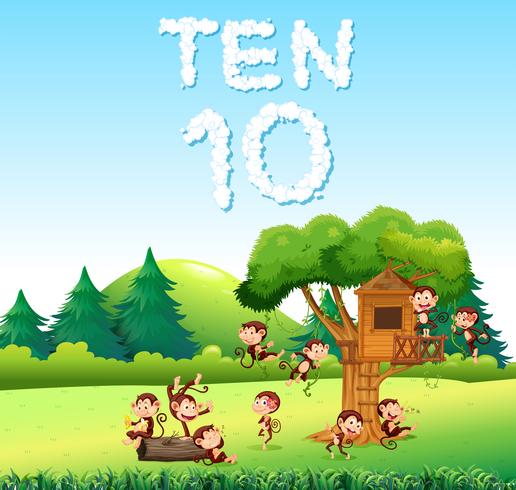 Ten monkey at the forest vector