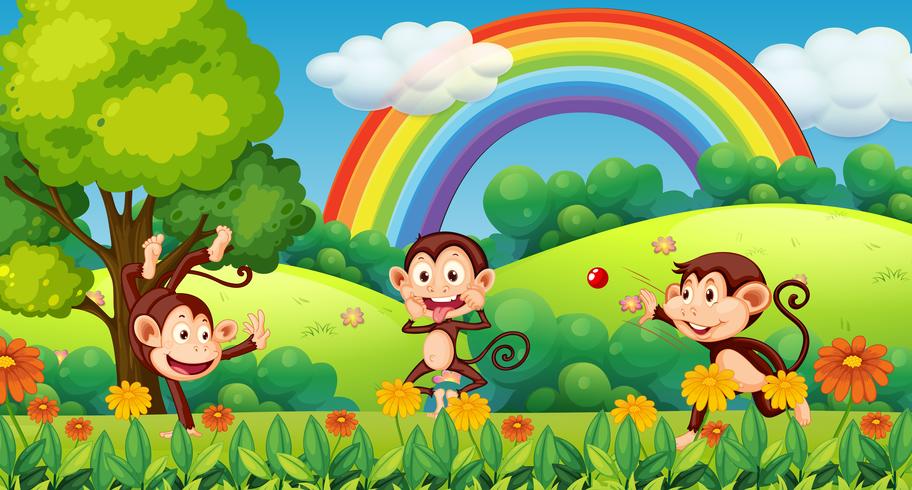 Monkey playing in forest vector