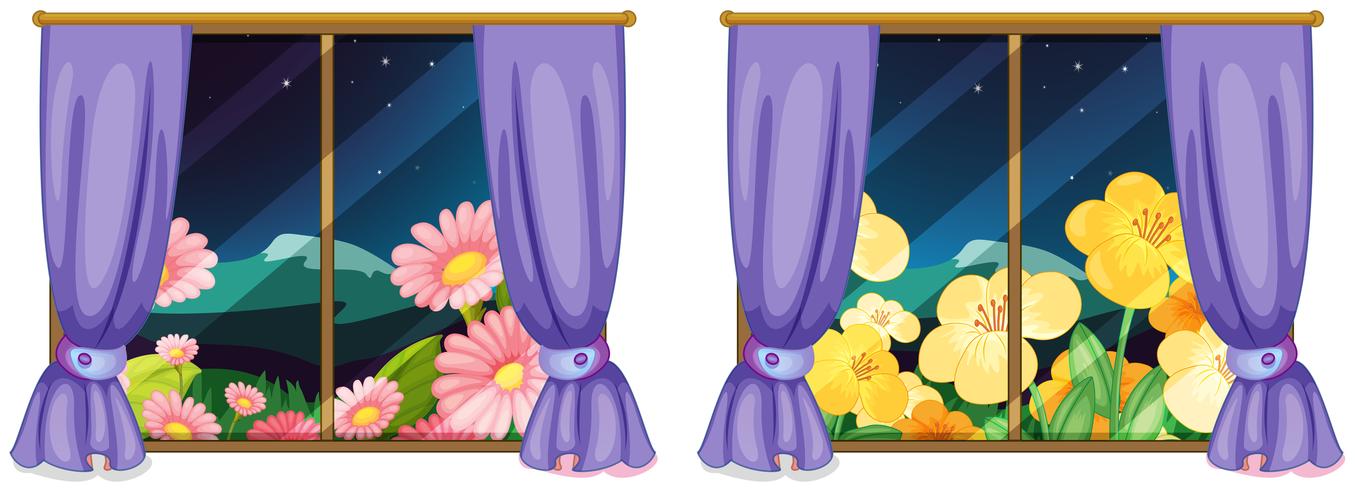 Two views from the windows vector