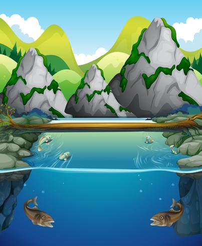 Escena de río con peces y montaña vector