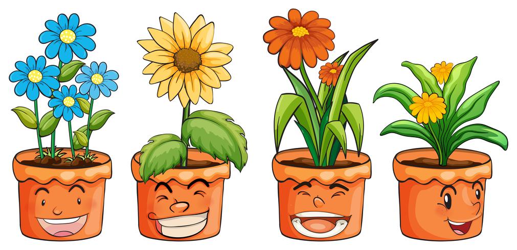 Four pots of flowers