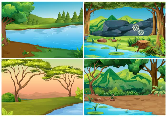 Cuatro escenas de bosques vector