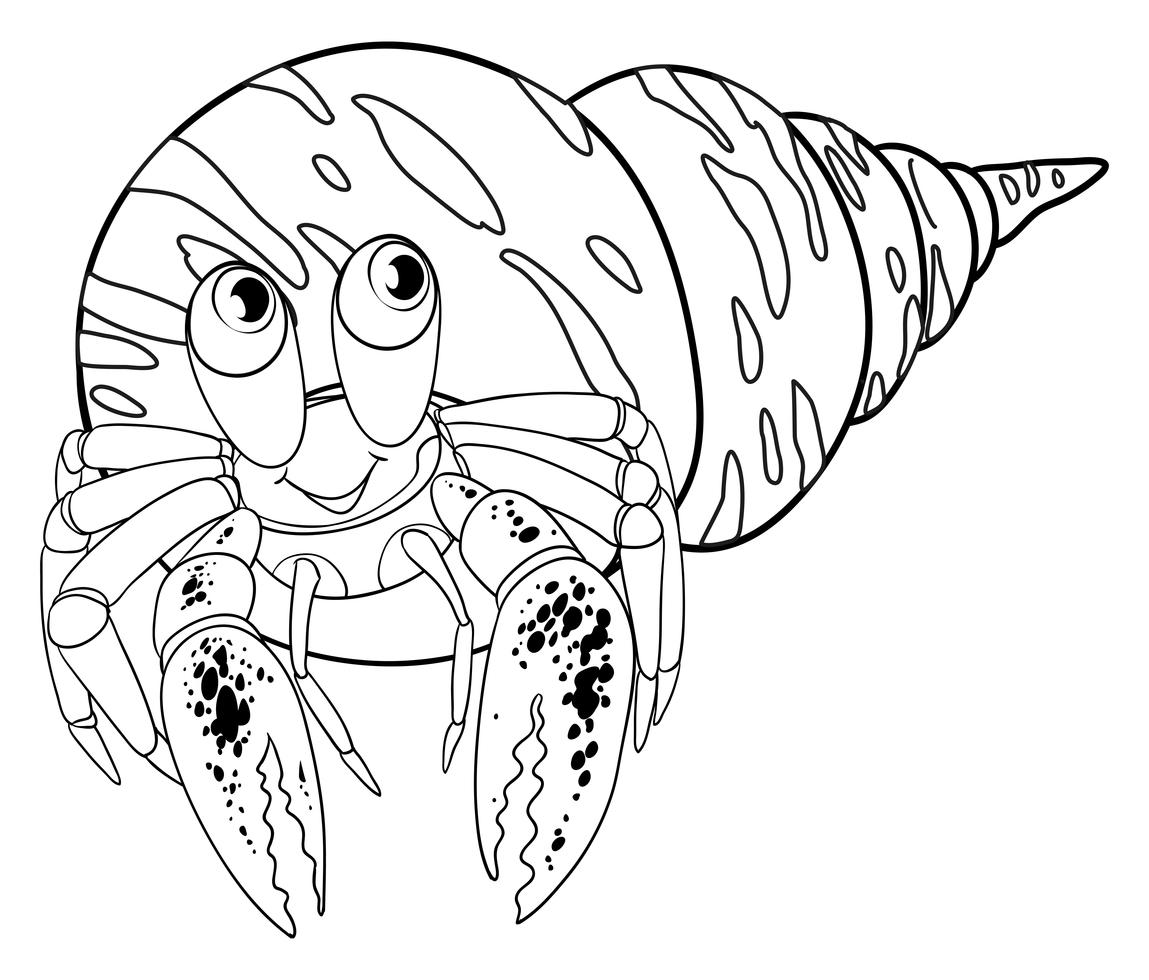 Animal Doodle Outline For Hermit Crab 445683 Vector Art At Vecteezy Vector Animal Doodle Outline For Hermit Crab