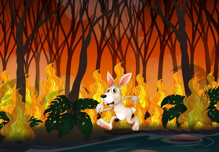 A Rabbit Running in Wildfire vector