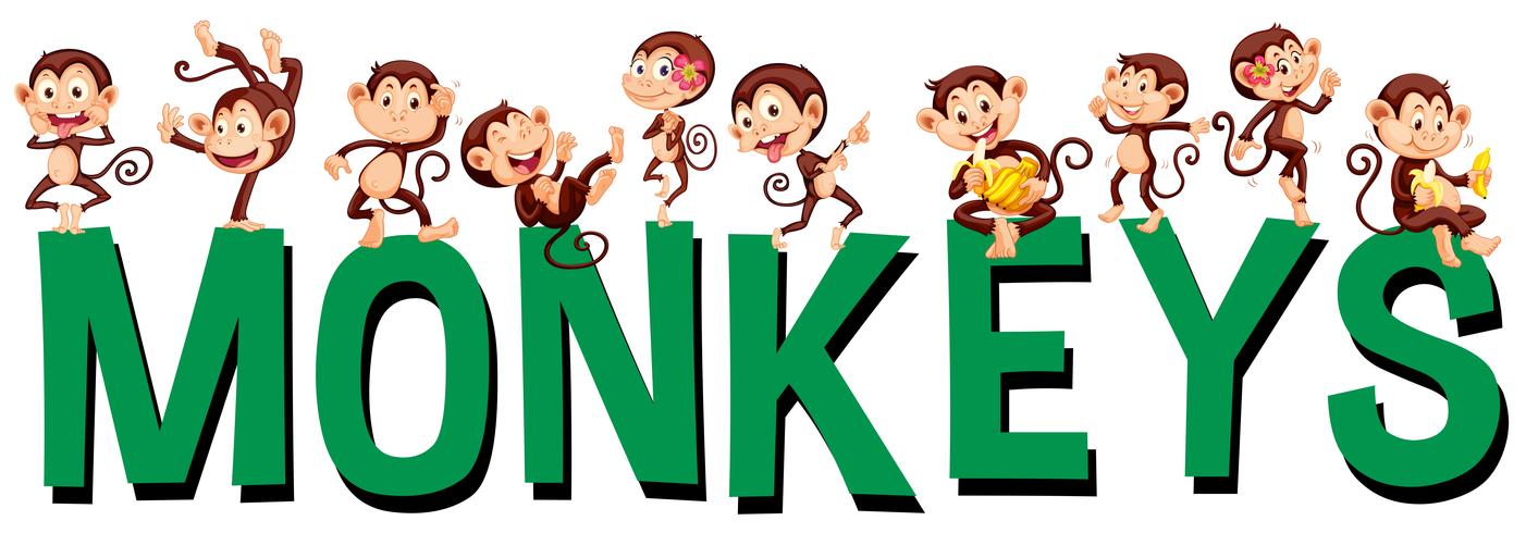 Font design with word monkeys vector