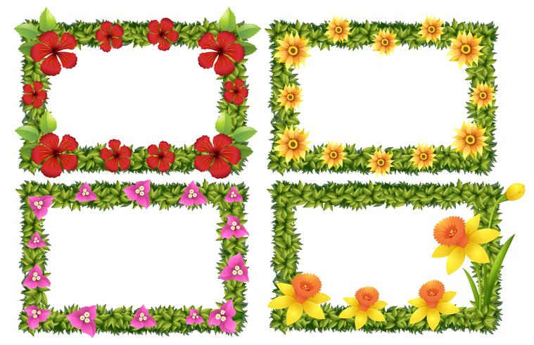 Frame template with colorful flowers vector