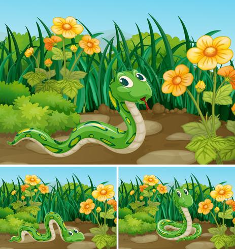 Tres escenas con serpiente verde en jardín. vector