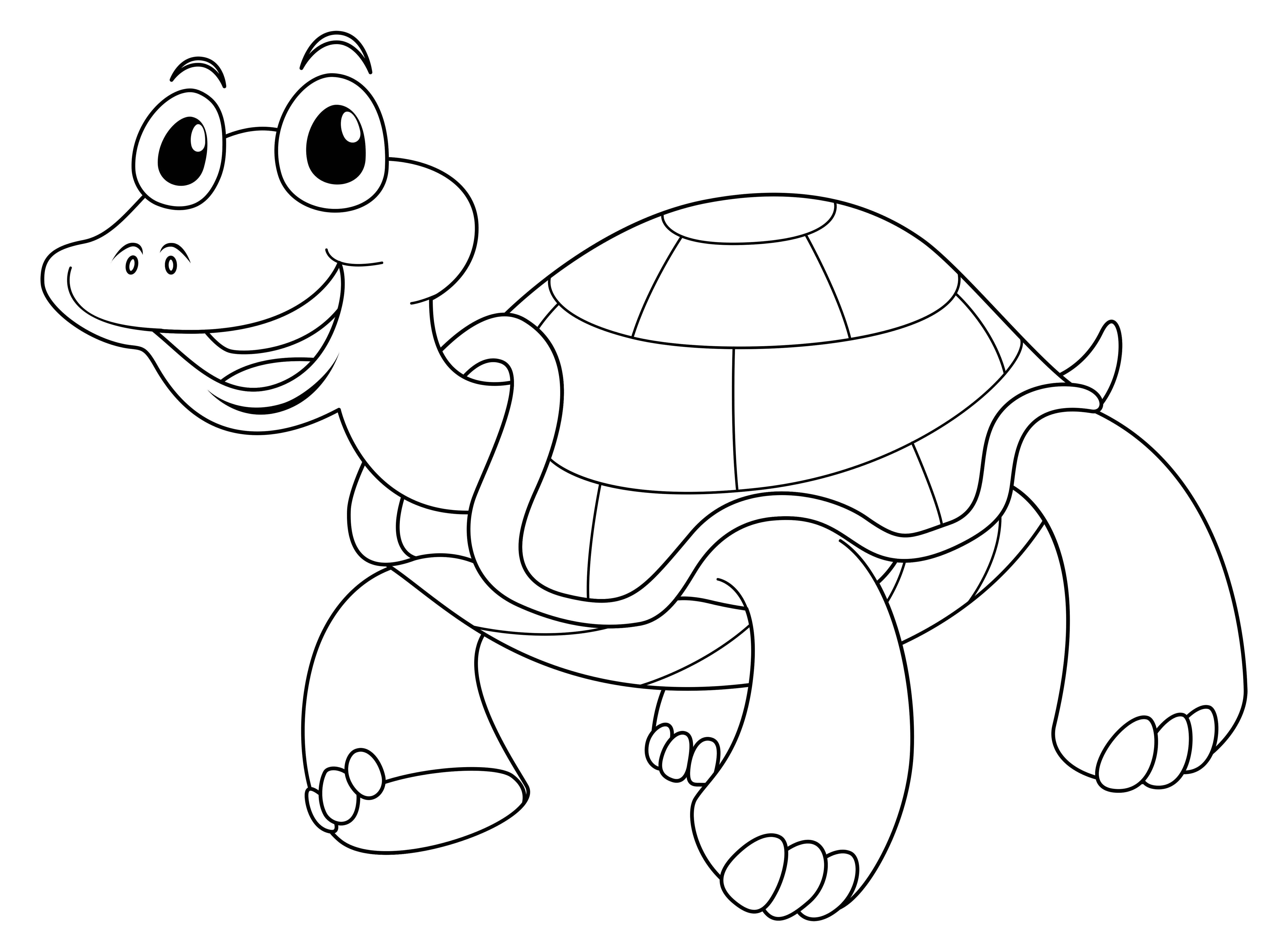 Animal outline for cute turtle 445755 Vector Art at Vecteezy