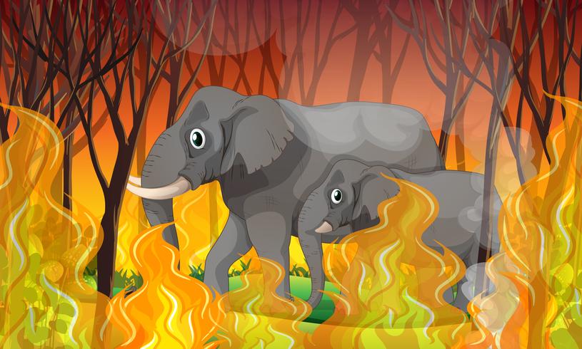 Elefante huyendo de Wildfire vector