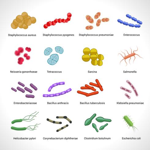 Conjunto de iconos de bacterias vector