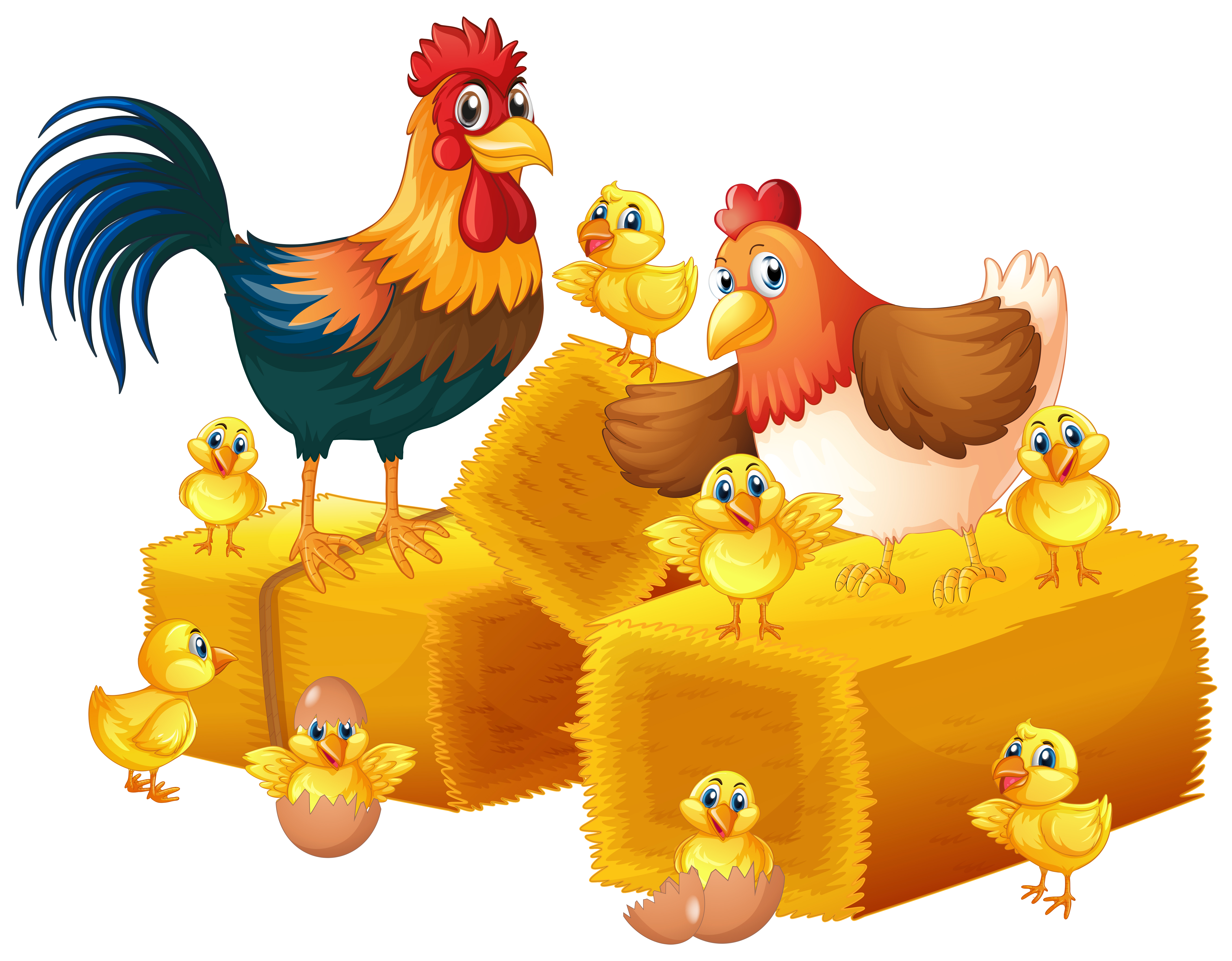 Download Chicken family on white background 445826 Vector Art at Vecteezy